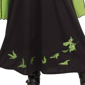 The Wizard of Oz Wicked Witch of The West Deluxe Child Costume