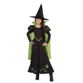 The Wizard of Oz Wicked Witch of The West Deluxe Child Costume