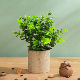 Mini Potted Artificial Plastic Green Plants - Luohan