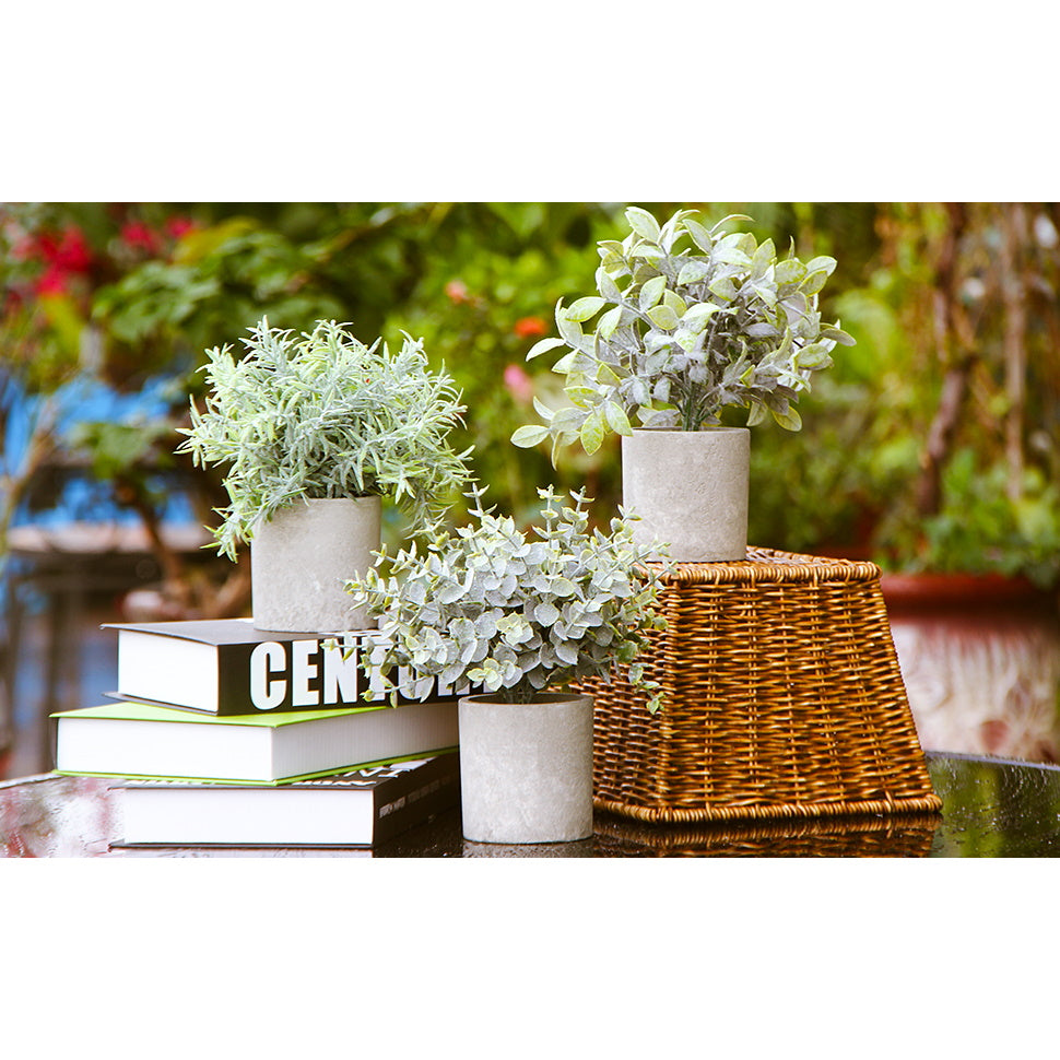 Mini Potted Artificial Plastic Green Plants - Frost Eucalyptus