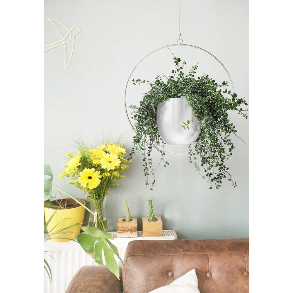 Minimalist Metal Plant Hanger - Round Shape