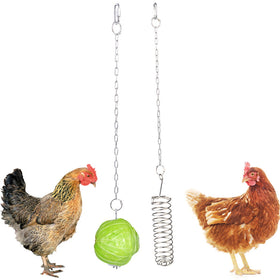 Stainless Steel Bird Cage Fruit & Veg Holder