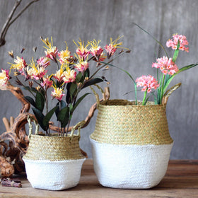 Woven Seagrass Flower Baskets/Pot