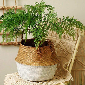 Woven Seagrass Flower Baskets/Pot