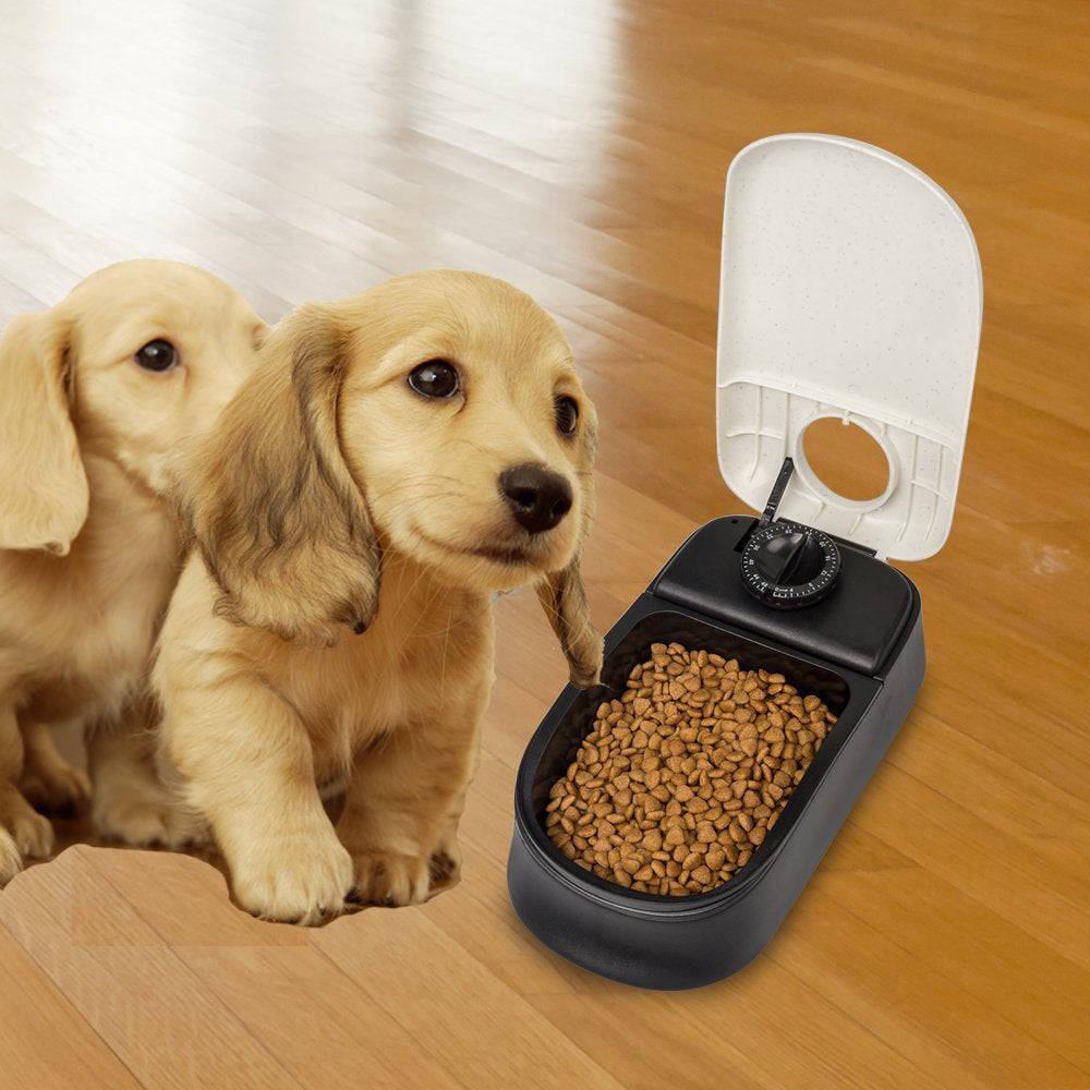 Auto Pet Feeder with Ice Pack