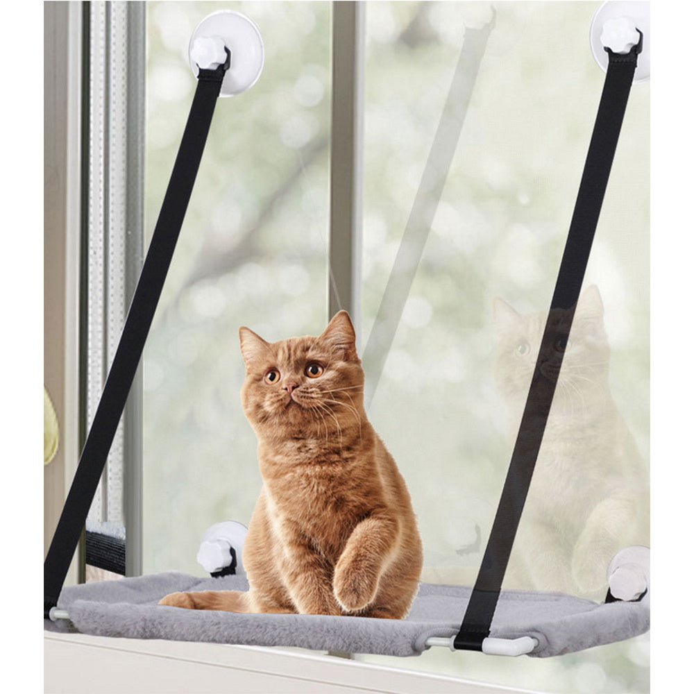 Suction cup hot sale cat perch