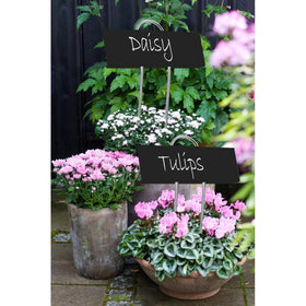 20pc Classic Metal Plant Nursery Labels - Black