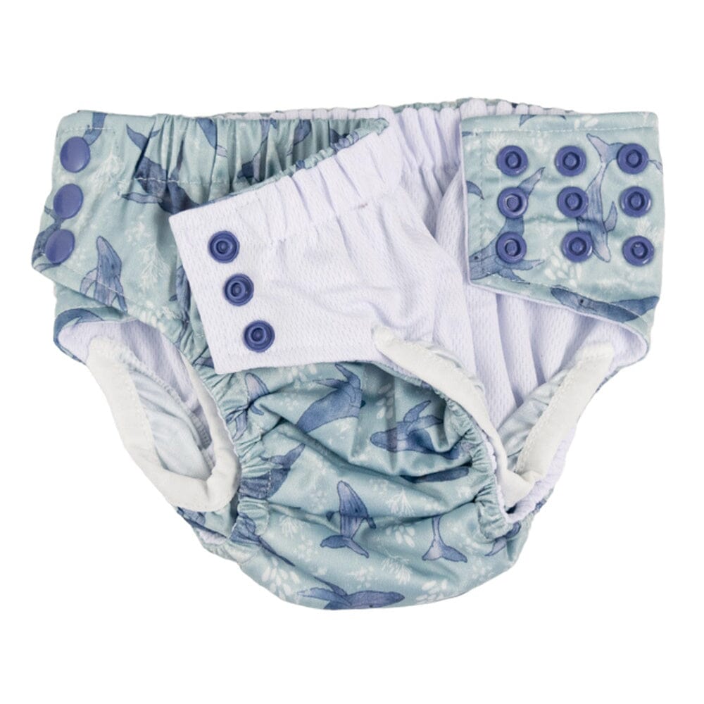 Sassy Pants Swim Nappies