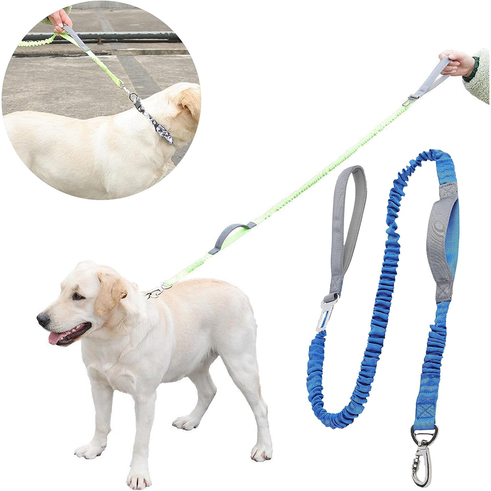 2in1 Dog Bungee Leash & Car Seatbelt - Blue